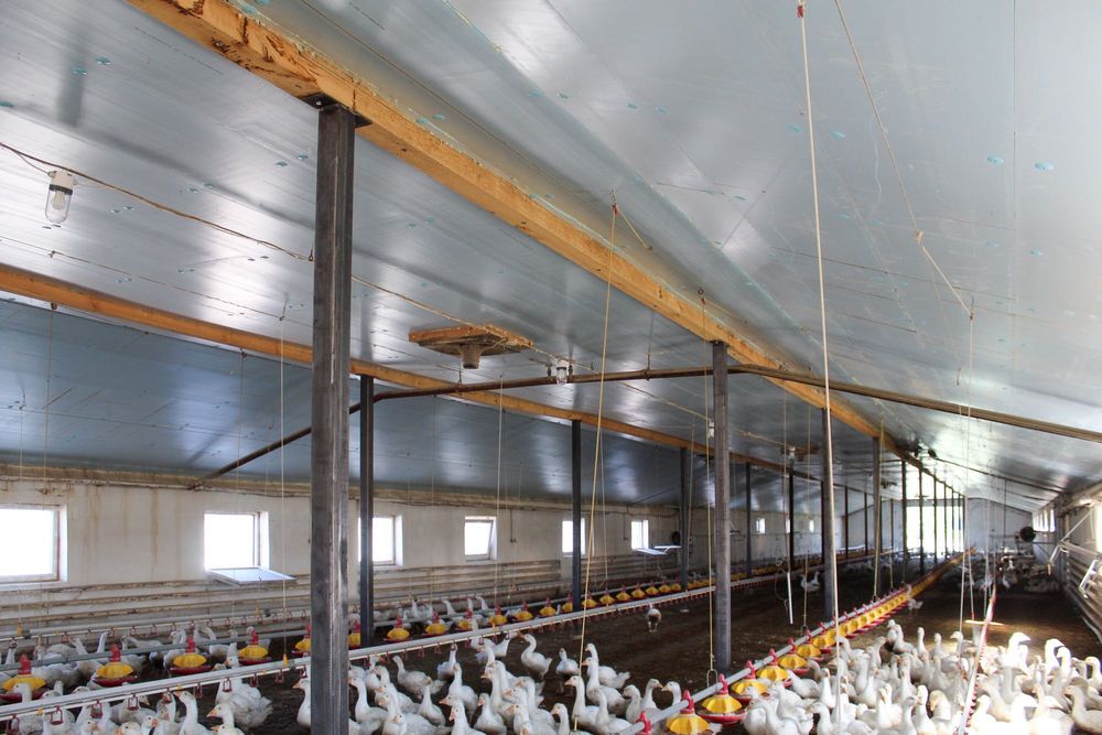 STYRODUR XPS AGRO Ocieplenie Izolacja Dachu Obory Kurnika Tuczarni Hal