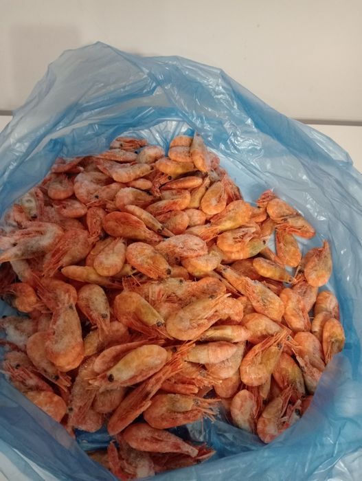 Sprzedam krewetki.opakowanie 5kg