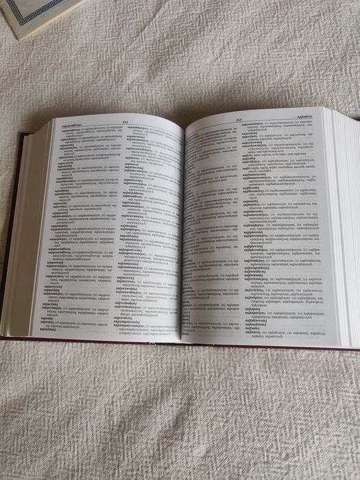 Słownik ortograficzny r.2000 twarda oprawa