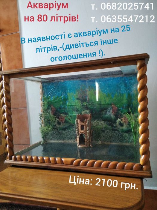 Новий акваріум на 50 літрів!