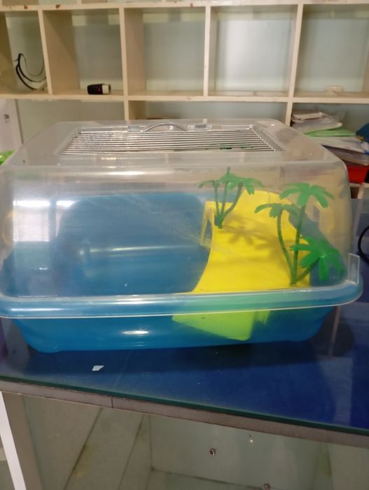 Tartarugueira de plástico