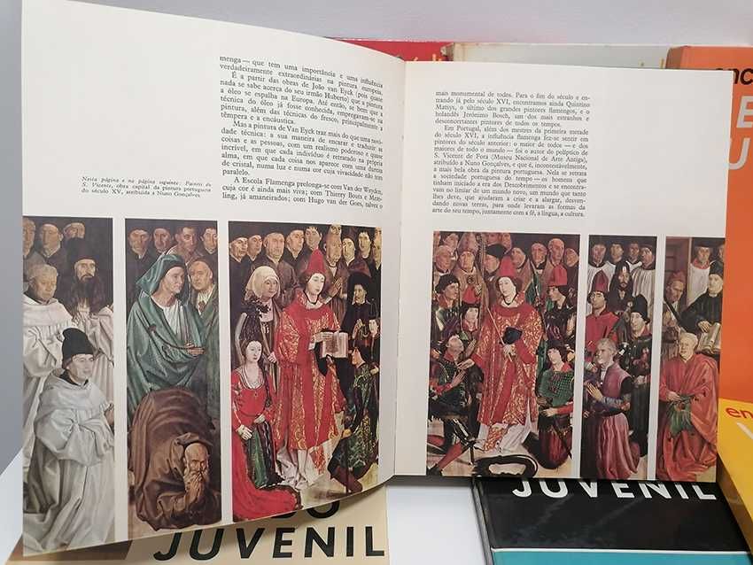 Enciclopédia Verbo Juvenil (12 volumes + caixa)