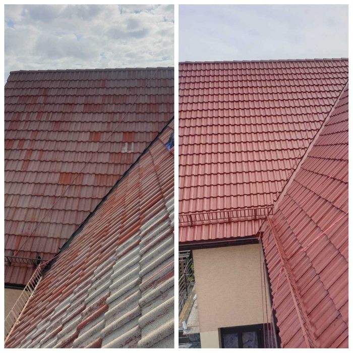 Profesjonalne mycie malowanie impregnacja dachów elewacji kostki bruku