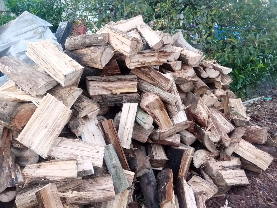 Lanha de pinho e outras