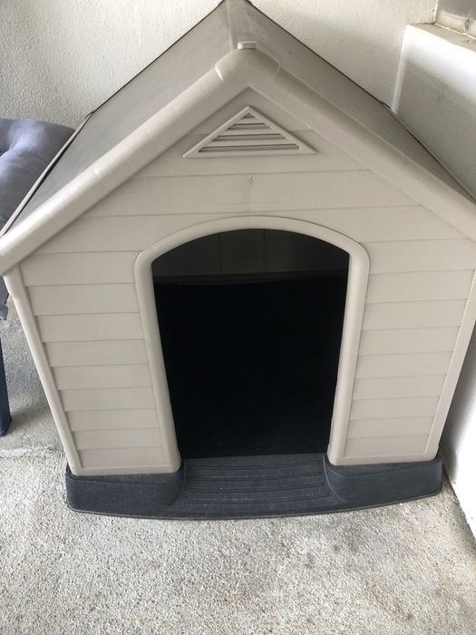 Casota cao medio plastico