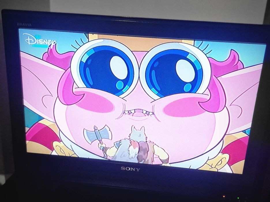 TV  SONY  BRAVIA em funcionamento