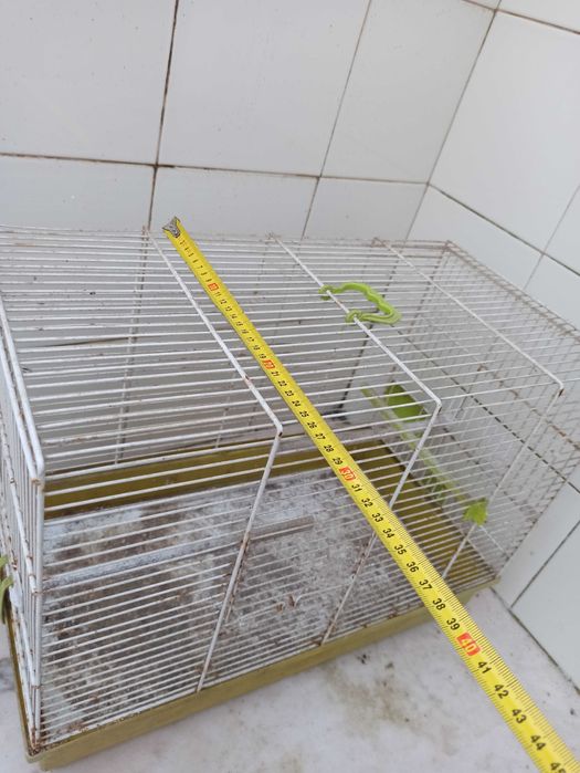 Gaiolas para aves com bebedouro, comedouro e poleiros