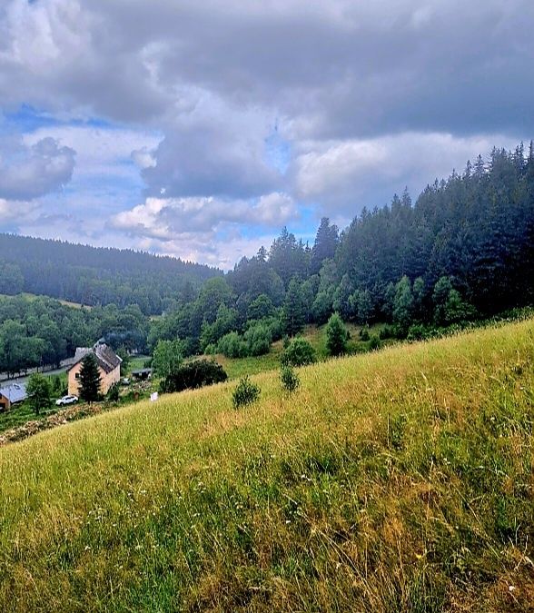 Działki budowlane 2000m2  / Sudety