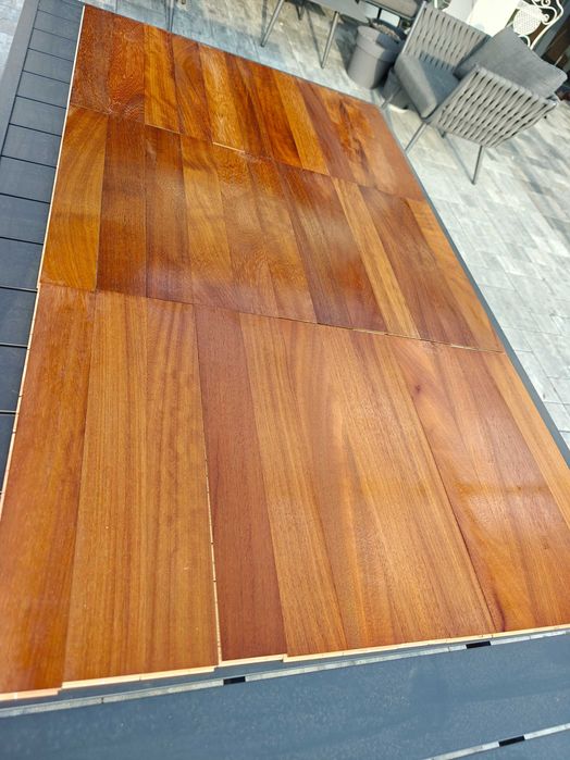 Parkiet Iroko egzotyk Okazja