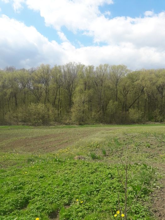 Продам дві хати в с. Вендичани