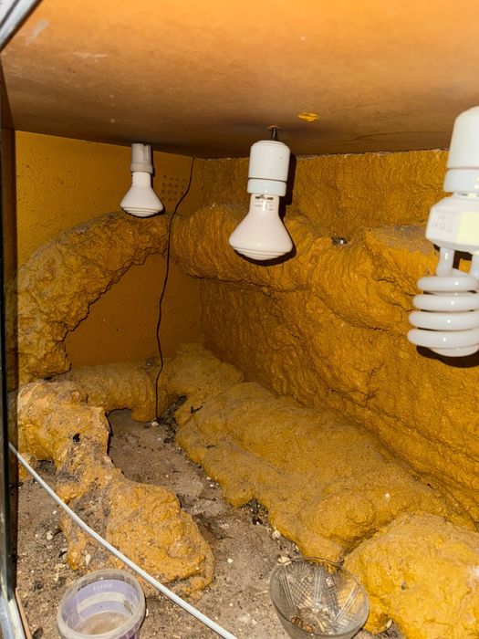 Terrario para repteis