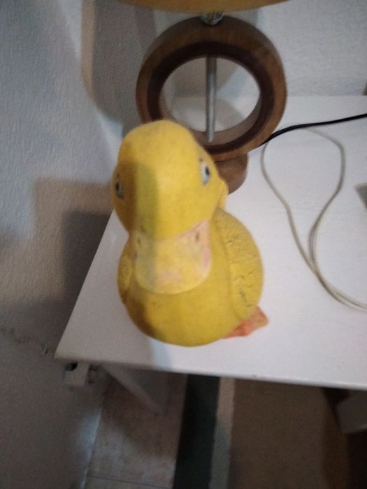 Pato colecção urgência