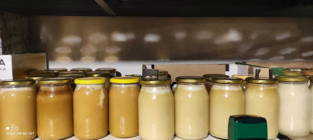 Miód z własnej pasieki z otuliny Parku Słowińskiego