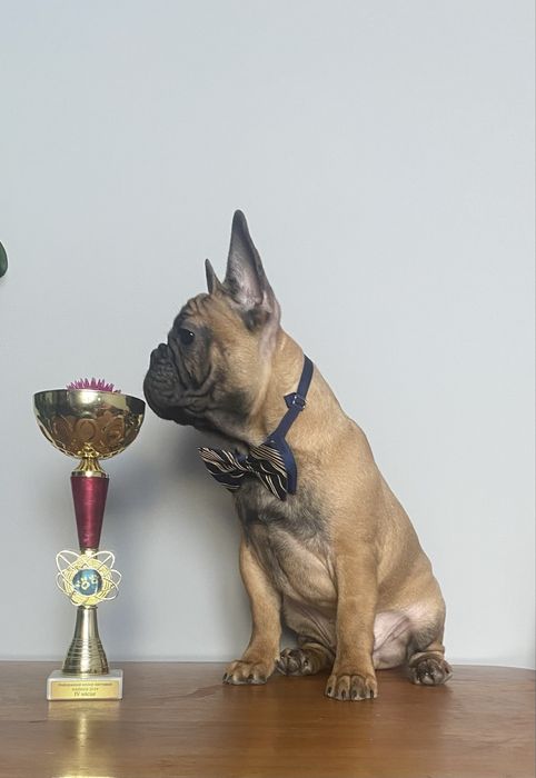 Солоденький круасанчик.