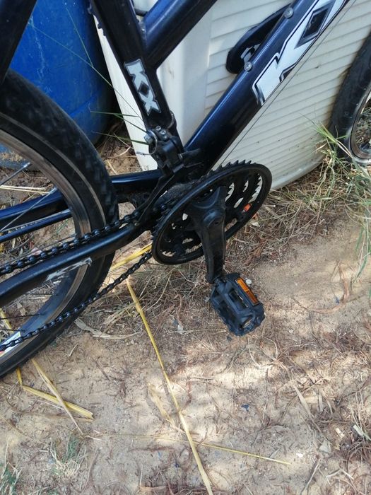 Bicicleta KX  Sport 100