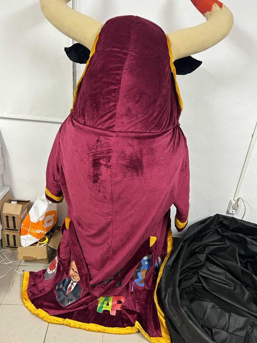 Mascote Exclusiva do Carnaval de Estarreja