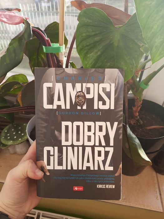 Książka Dobry Gliniarz