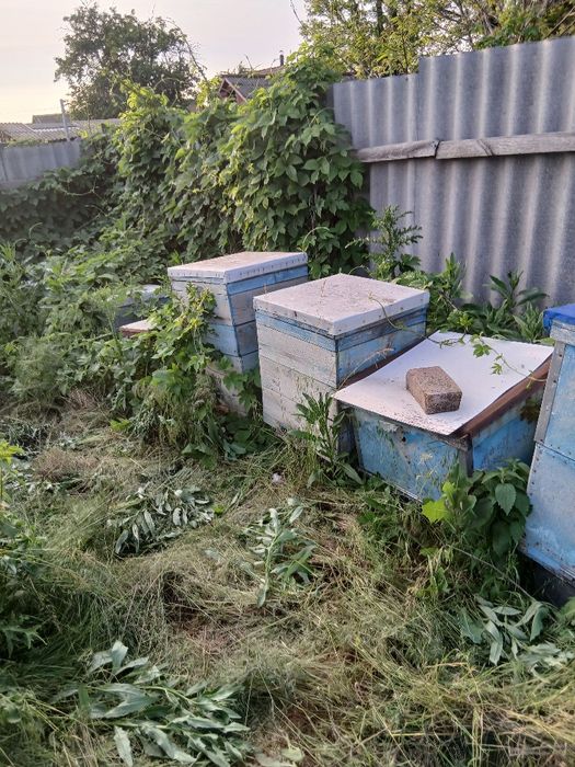 Продам вулики паливом рогаті