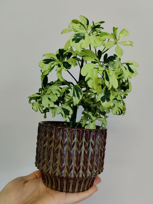 Osłonka, doniczka ceramiczna, szkliwiona. W stylu vintage/retro