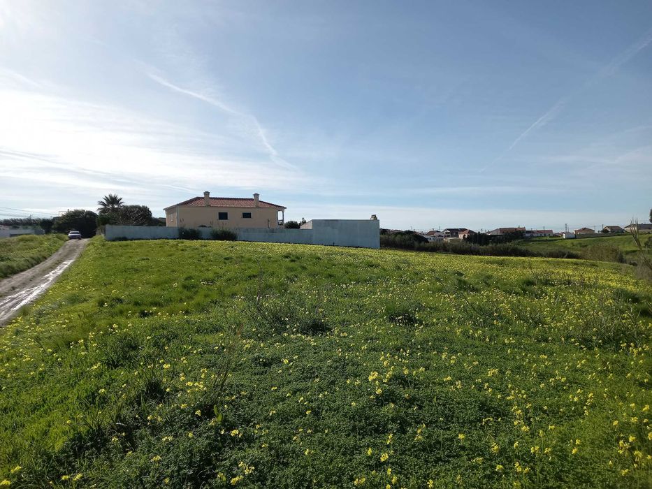 Terrenos (Venda/Arrendamento) - TORRES VEDRAS