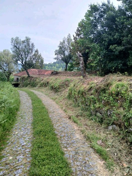 Vende-se Casa em Pedra com terreno - Celorico de Basto