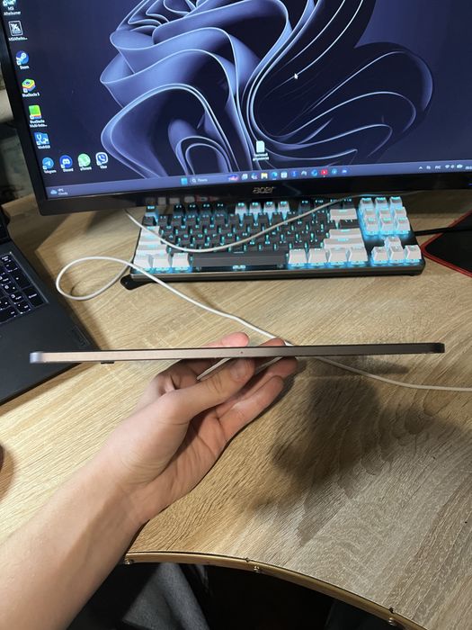 Ipad pro 2018 11 256gb