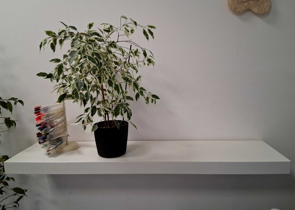 4 Półki wiszące Ikea