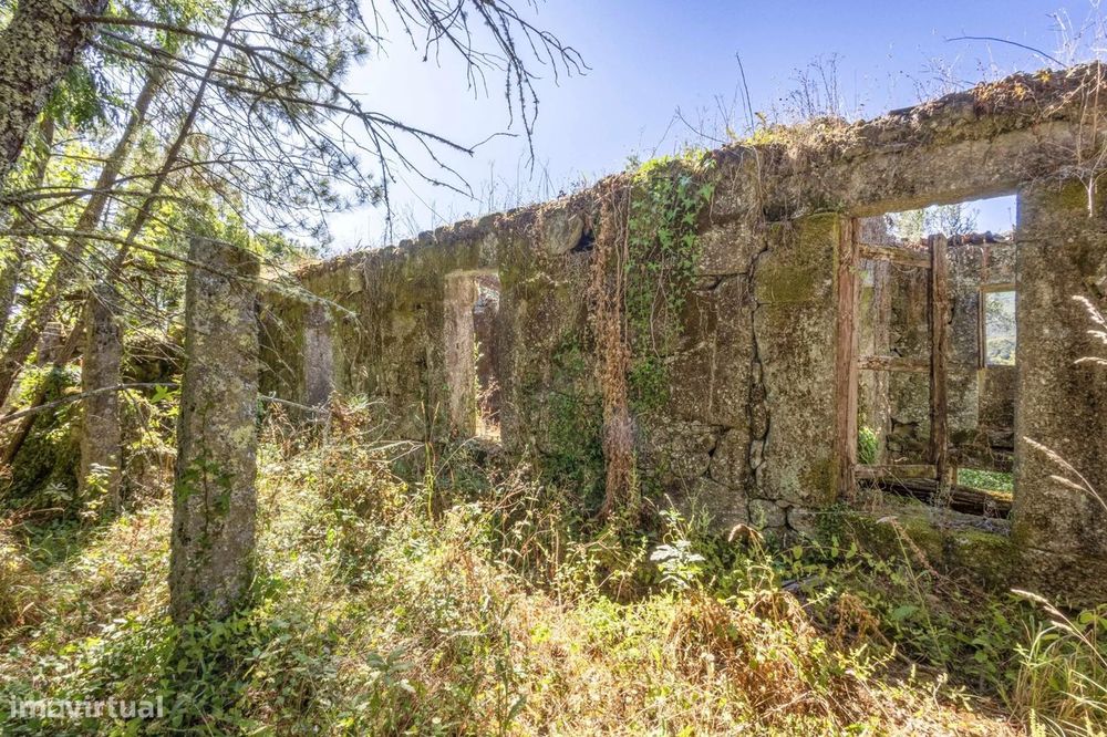 Quinta com 2 Hectares e Casa em Pedra para Recuperar em Gomide, Vila V