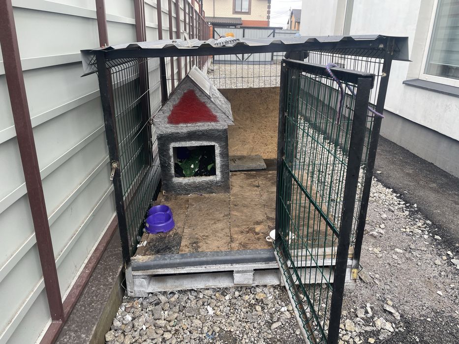 Вольєр собаки тварини для животних