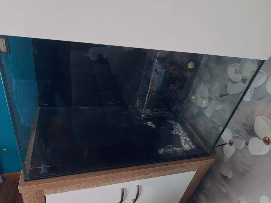 Akwarium morskie 240 litrów komplet szafka