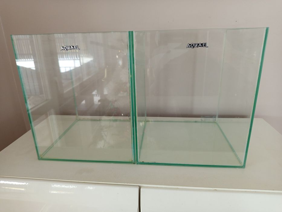 Akwarium 20 litrów