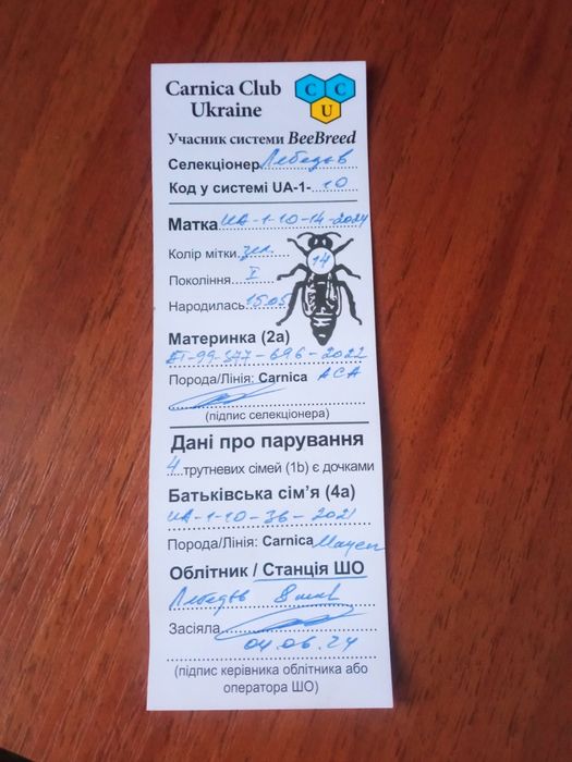 Бжоло сім'ї карніка