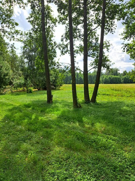Działka z warunkami zabudowy Prusinowice