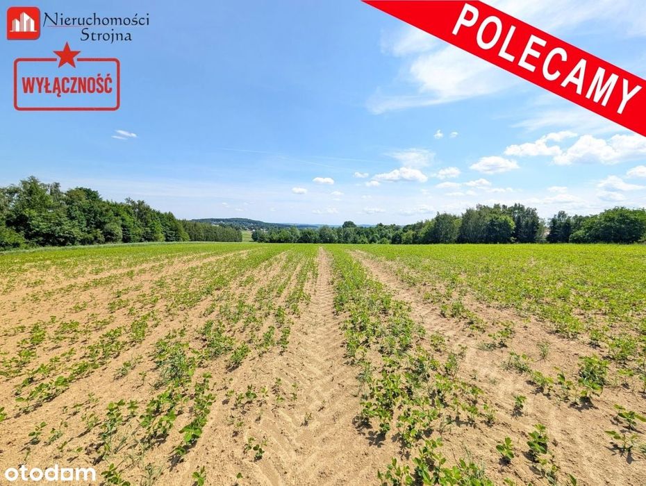 Sławkowice gmina Biskupice działka budowlana 13a