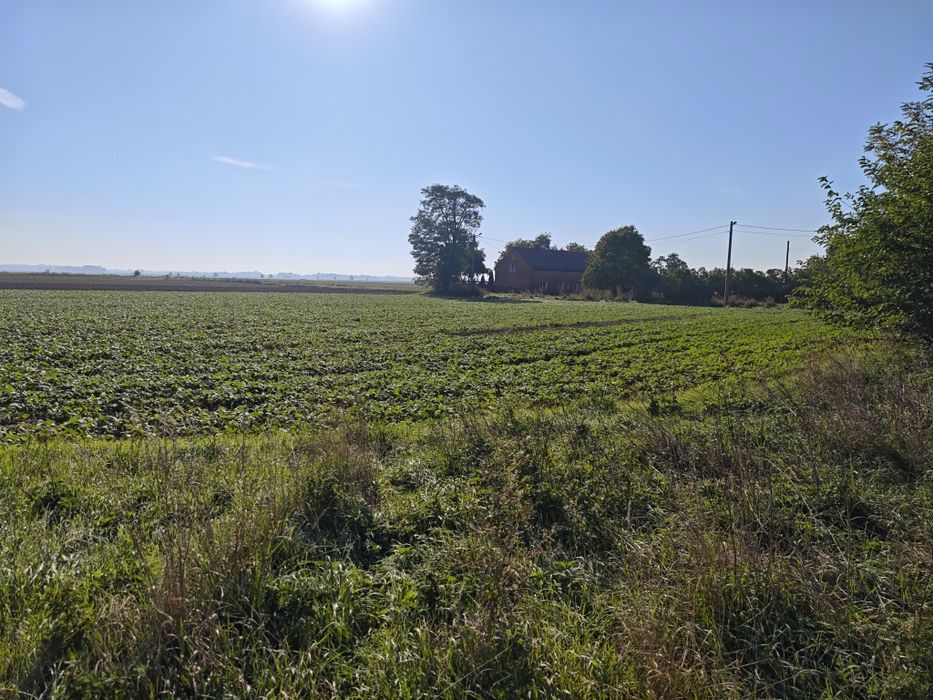 Działka budowlana - Widok 2