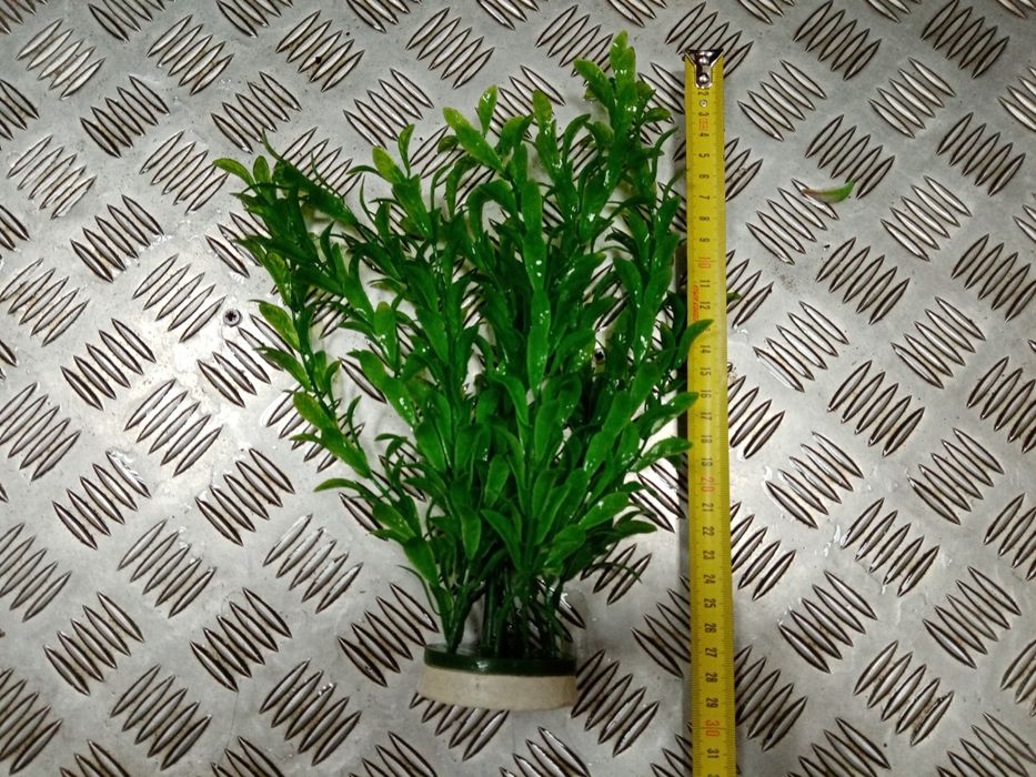 Декорації для акваріума. Рослини. Водорослі.