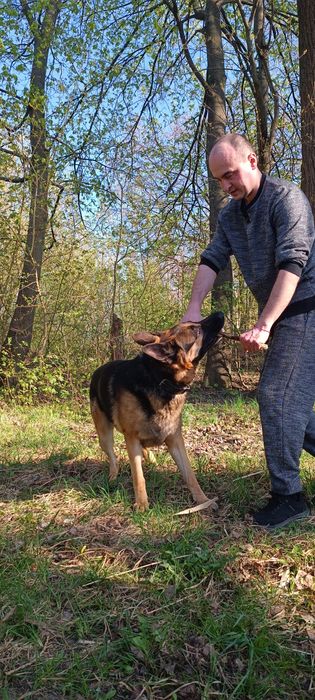 Кінолог, Вет- лікар, Зоопсихолог професійний!Полтава.