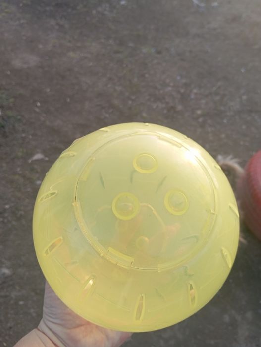 Переносна коло для хом'яка, щура, миші морської свинки