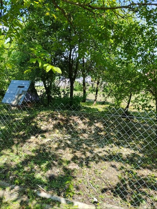 Продається будинок  село Крижі