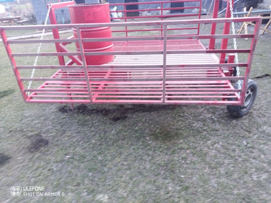 Scelarka do truskawek