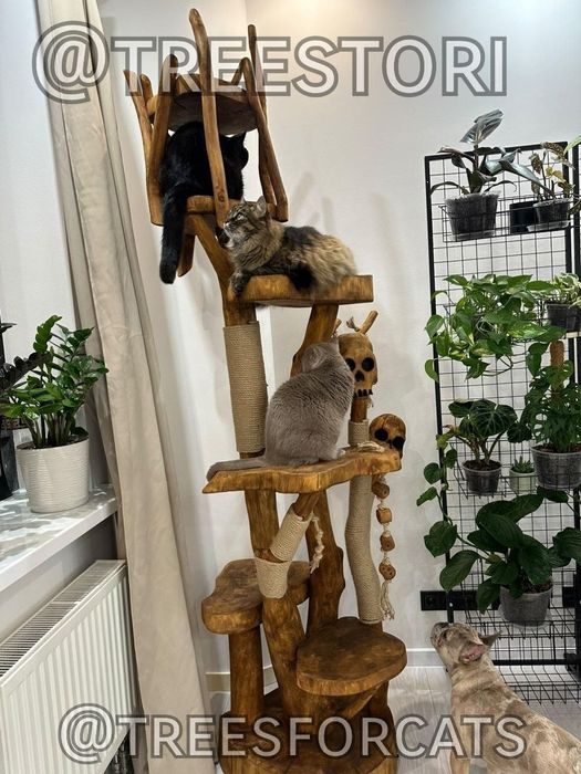 Еко когтеточки. Будинок для кота та кішки. Гральний комплекс.