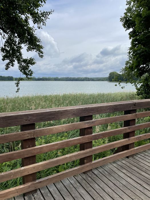 Domek na Mazurach- Ryn,   blisko  od  jeziora. Wolne terminy od: 22.08.2026 r.