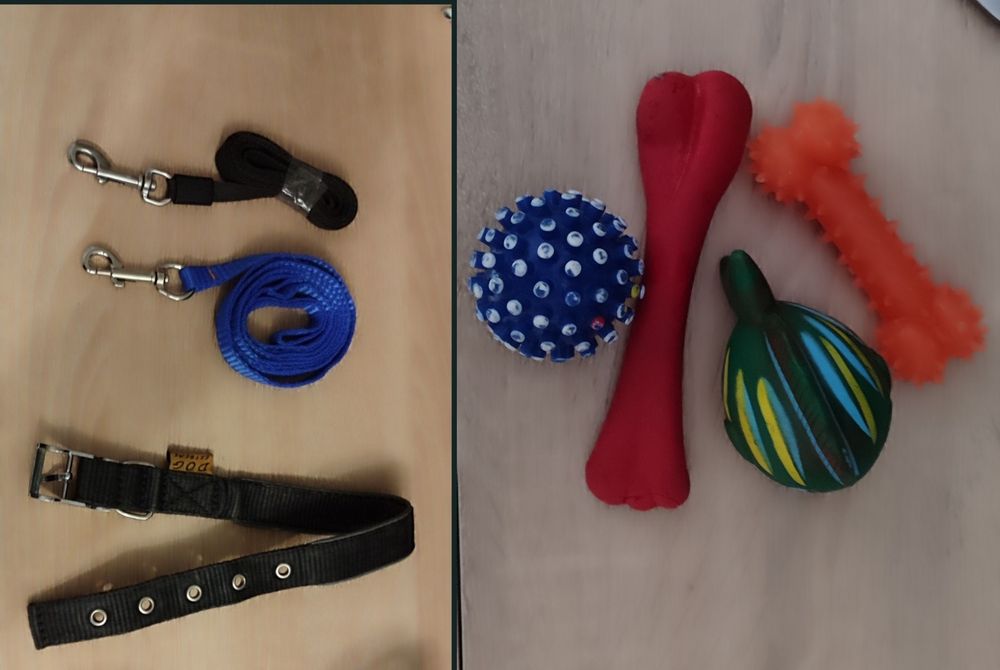 Ошейник для собаки