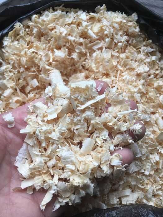 Ściółka dla zwierząt, psów, wióry, trociny, 23kg/70zł, dostawa kurier