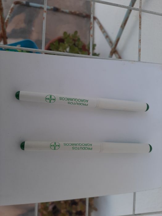 Canetas para utilização ou colecção.