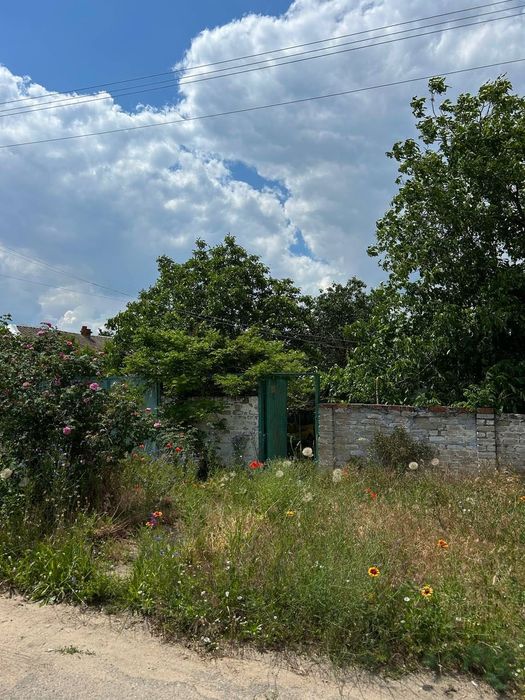 Дом с участком в живописном пригороде