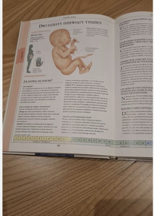 Ciąża przewodnik