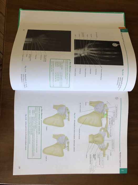 Atlas de Anatomia