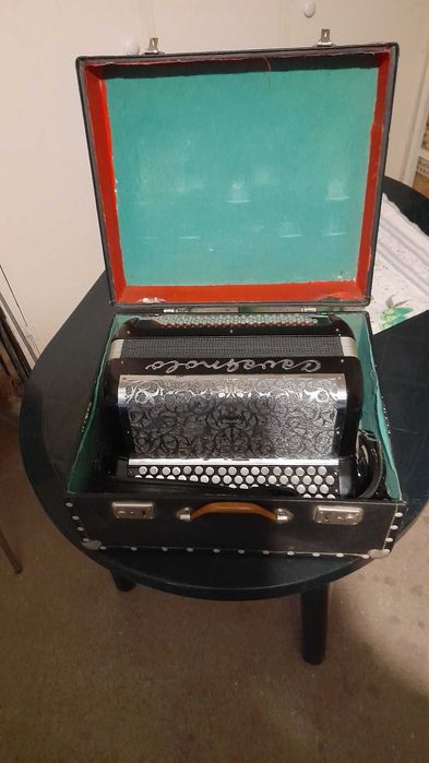 Acordeon para venda
