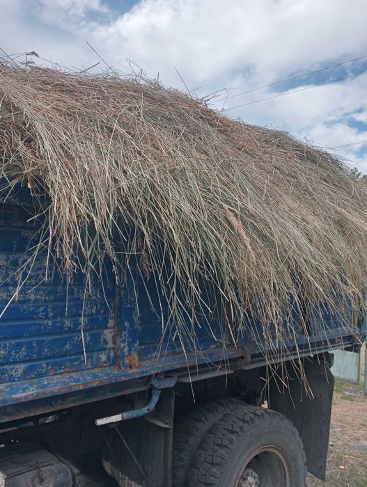 Продам сіно свіжого покоса